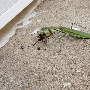 Meet your Posher, Aaron